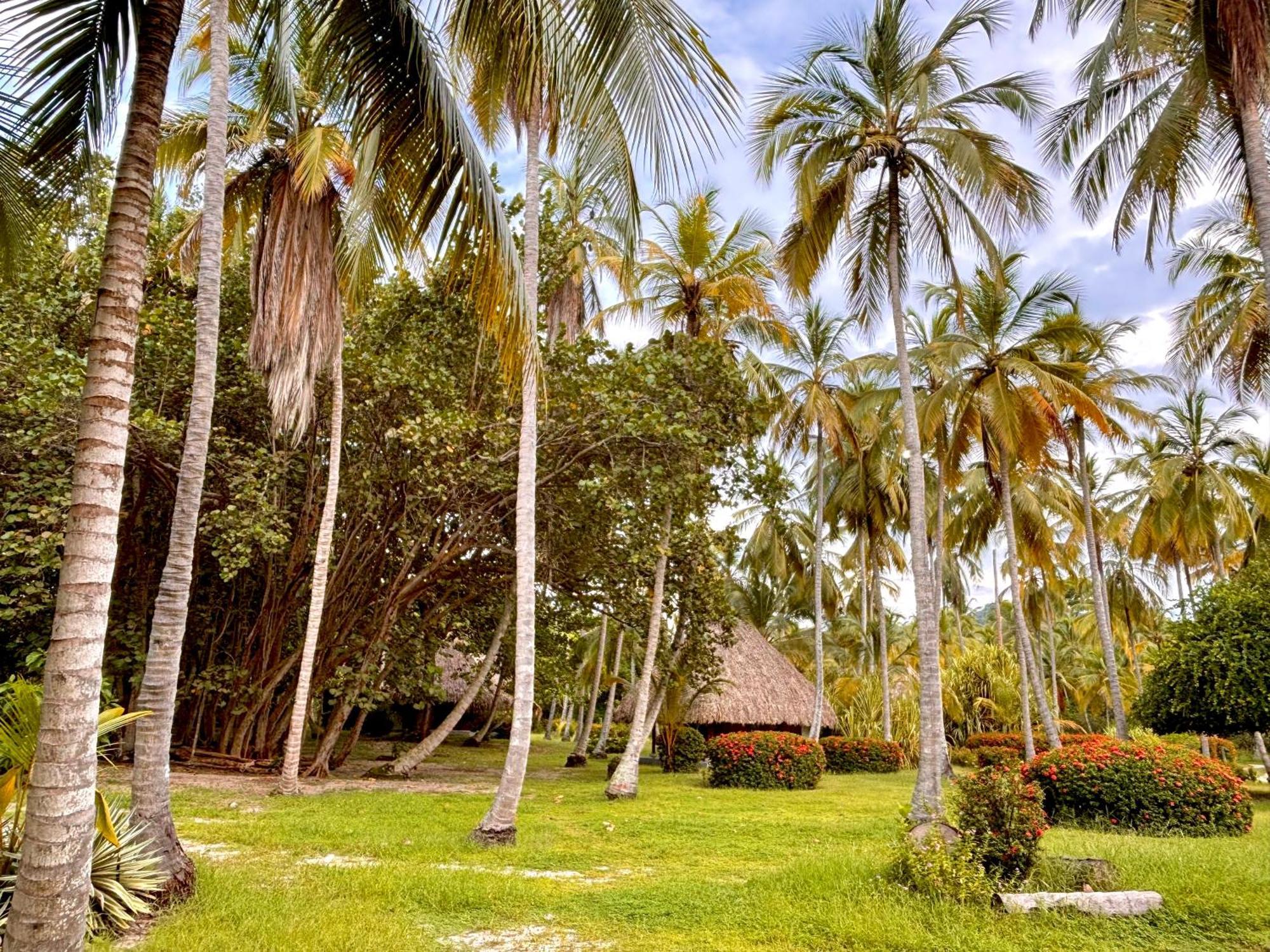 Hotel Playa Bonita Tayrona Buritaca Buitenkant foto