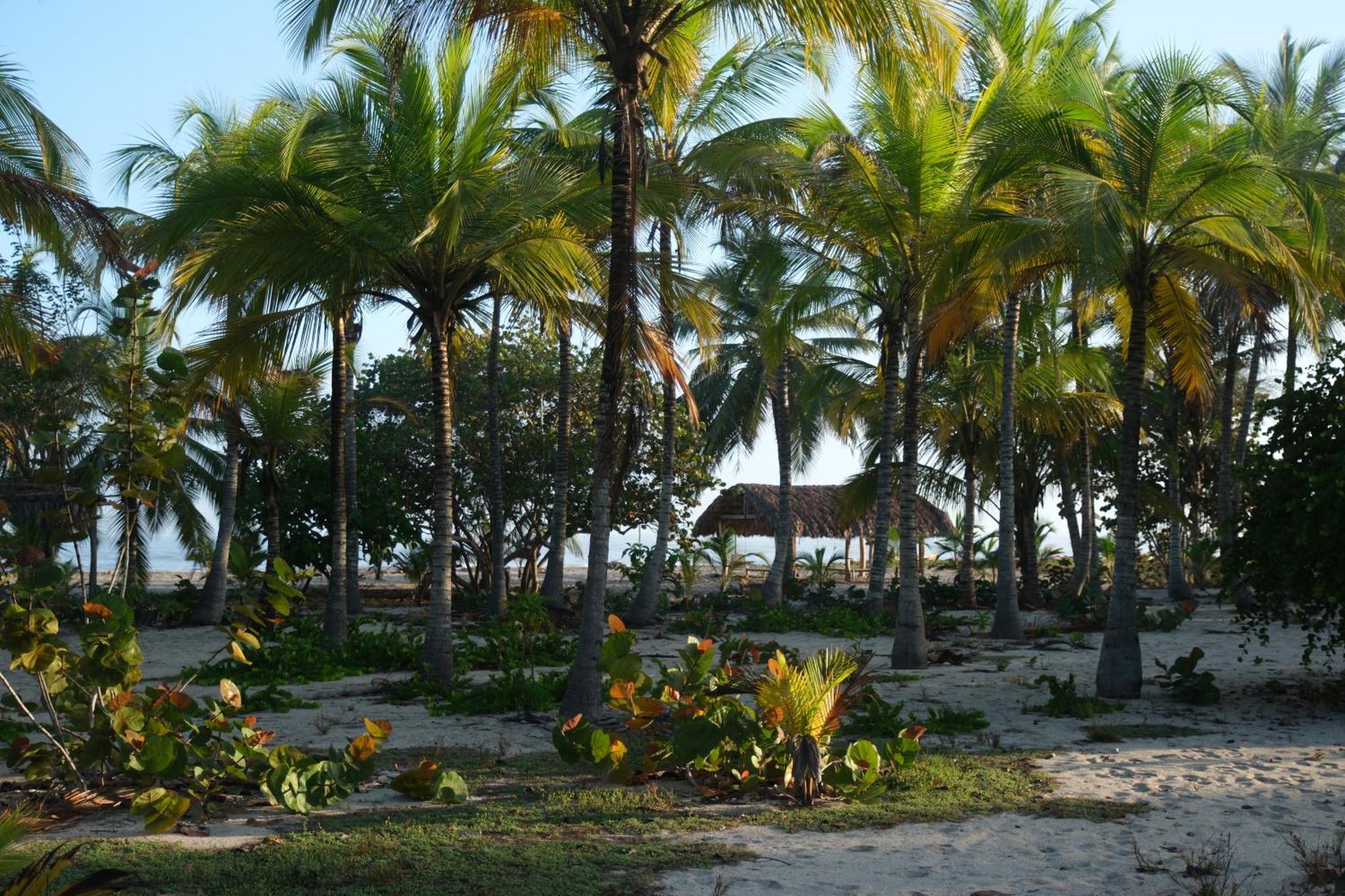 Hotel Playa Bonita Tayrona Buritaca Buitenkant foto