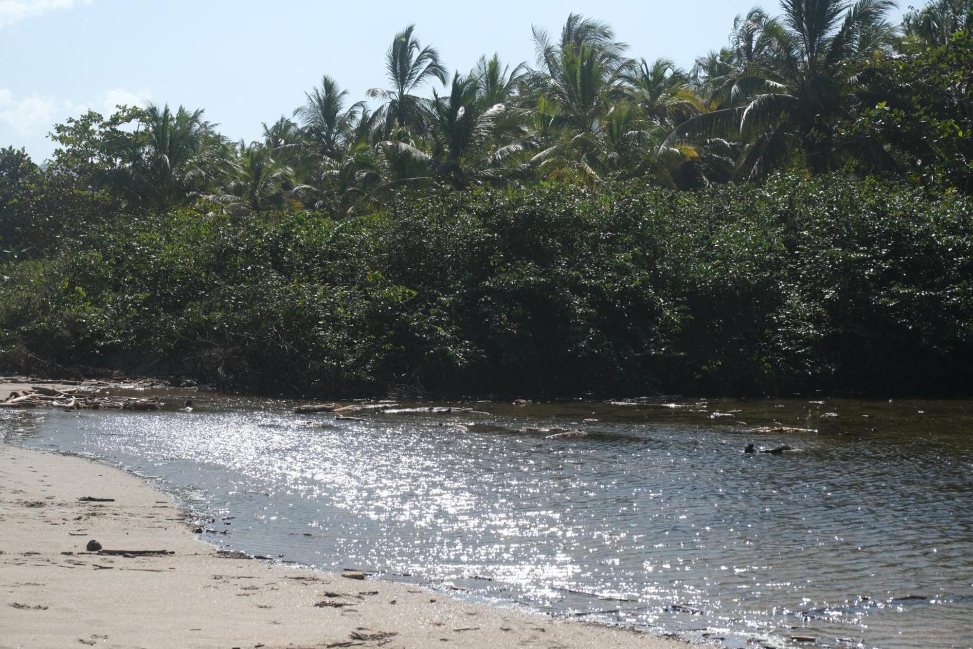 Hotel Playa Bonita Tayrona Buritaca Buitenkant foto
